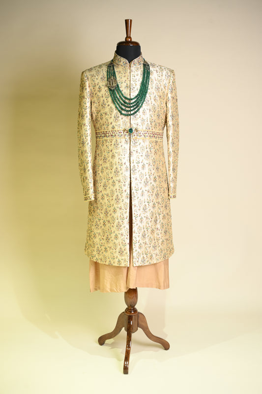 Champagne Sherwani